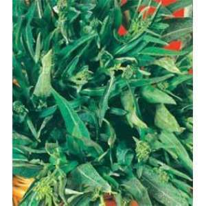 NR 1500 SEMI BROCCOLETTO A FOGLIA DI ULIVO